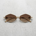 Brown frame — Brown gradient lens