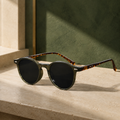 Olive Tortoiseshell